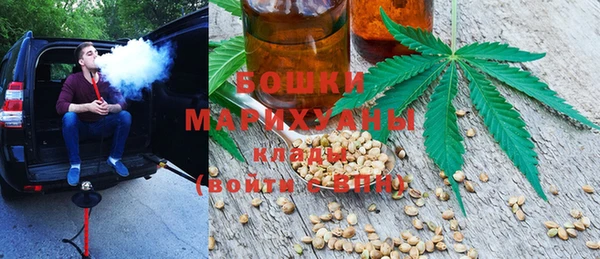 сатива Горно-Алтайск