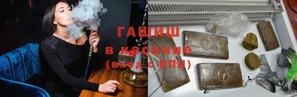 сатива Горно-Алтайск