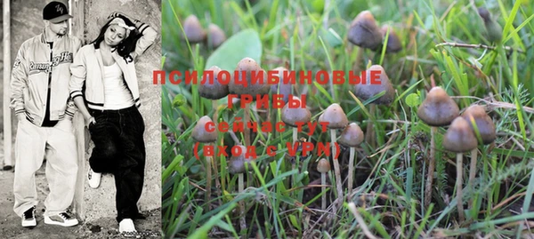 не бодяженный Горняк