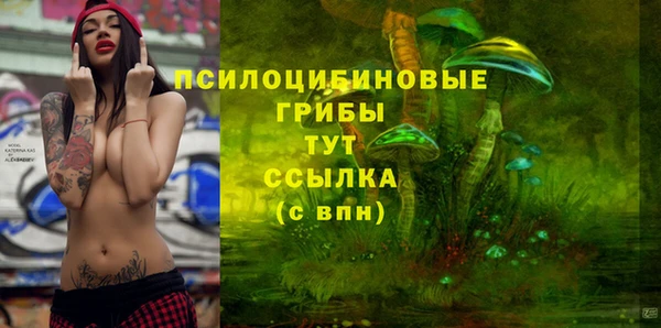 сатива Горно-Алтайск