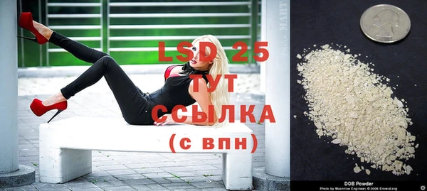 сатива Горно-Алтайск