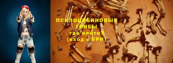 амф Горнозаводск