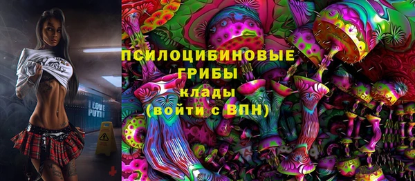 амф Горнозаводск